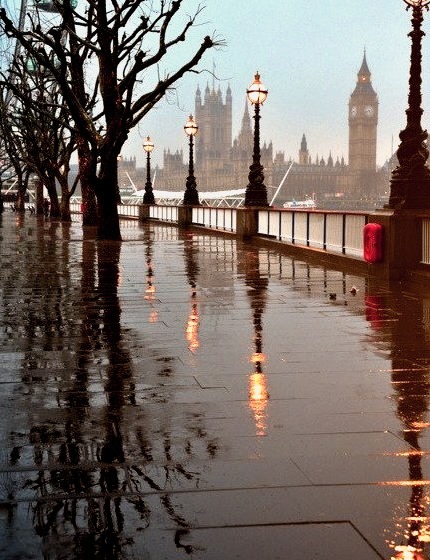 Autumn Rain, London, England 