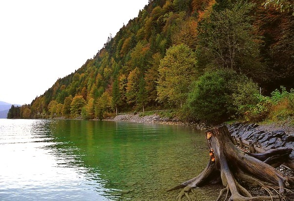 by Claude@Munich on Flickr.At the shores of Walchensee - one of the deepest and largest alpine lakes in Germany.