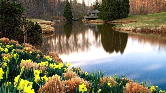 Brookside Gardens in Wheaton, Maryland, USA