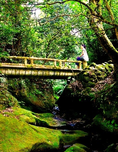 Bridge in Kakusenkei Gorge, Ishikawa Prefecture, Japan