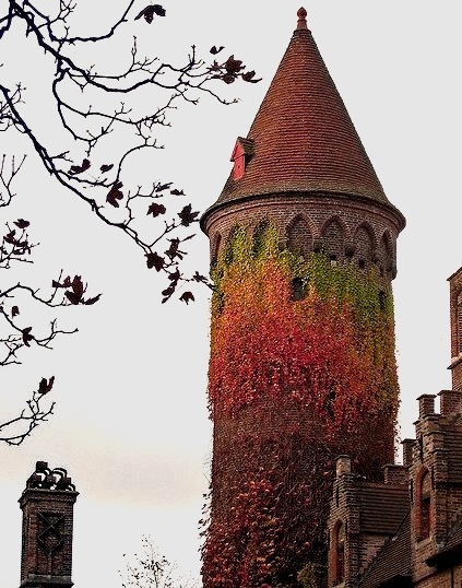 Ivy Tower, Bruges, Belgium