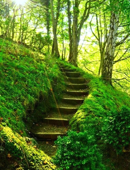 Mossy Stairs, Perthshire, Scotland