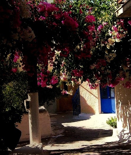 Floral arch on the streets of Poros, Greece
