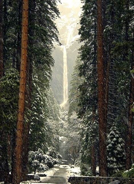 Lower Falls, Yosemite, California