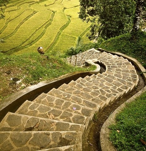 Stairs to rice terraces in Naga village, Java, Indonesia