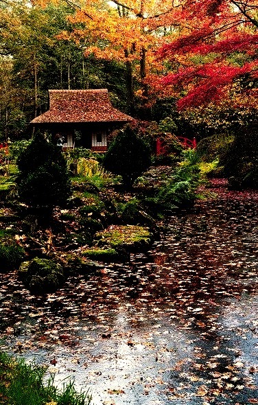 The Japanese garden at the Clingendael Estate, The Hague / Netherlands