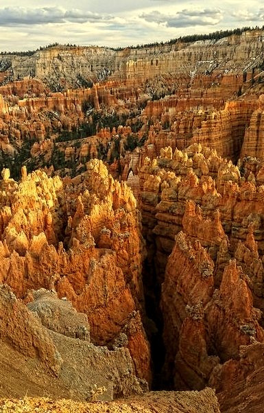 Bryce Canyon National Park, Utah / USA