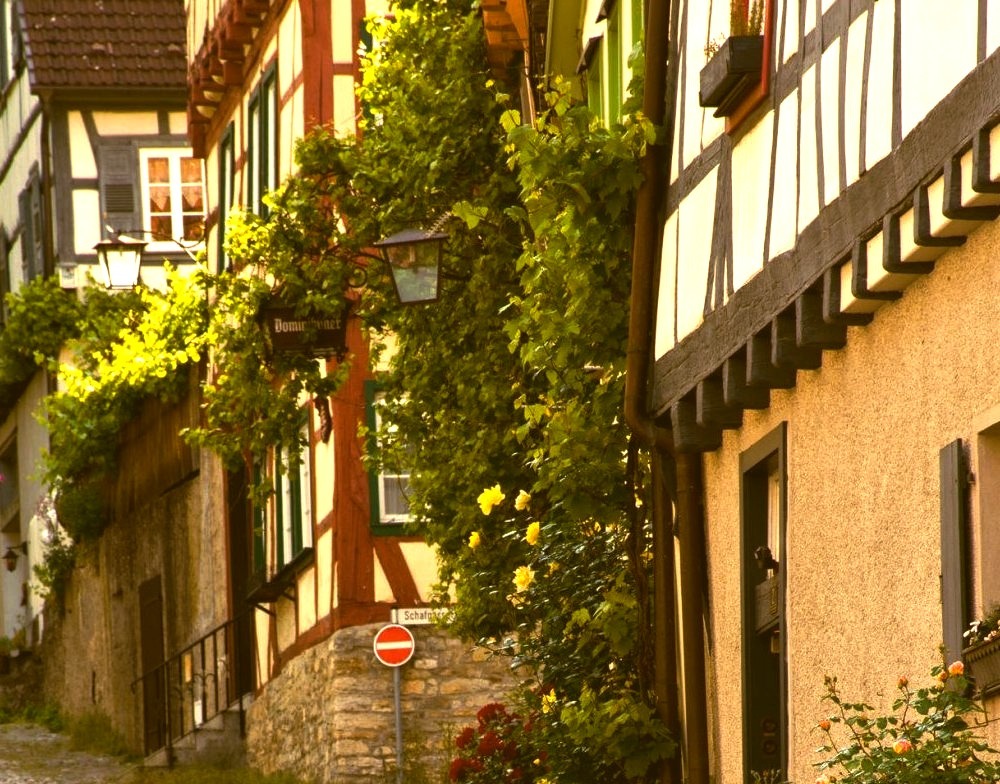 Bad Wimpfen / Germany